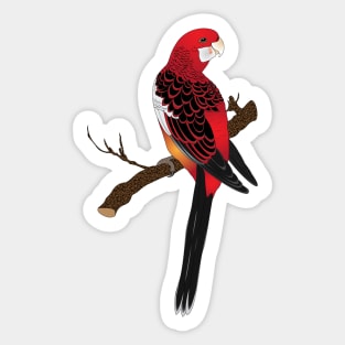 Pennants Parakeet Sticker